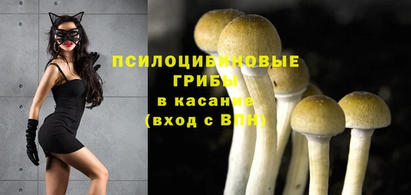 а пвп мука Саяногорск