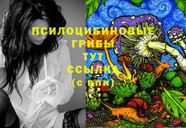 дурь Сатка