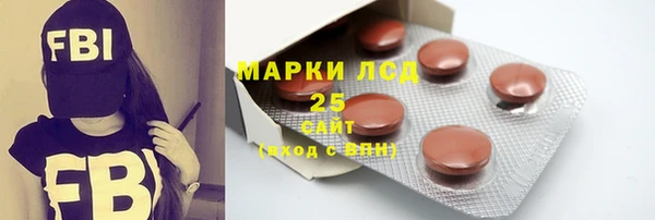дурь Сатка