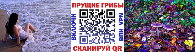 Галлюциногенные грибы мицелий  Рошаль 